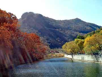 新澳天天开奖资料大全旅游团，花都开锁